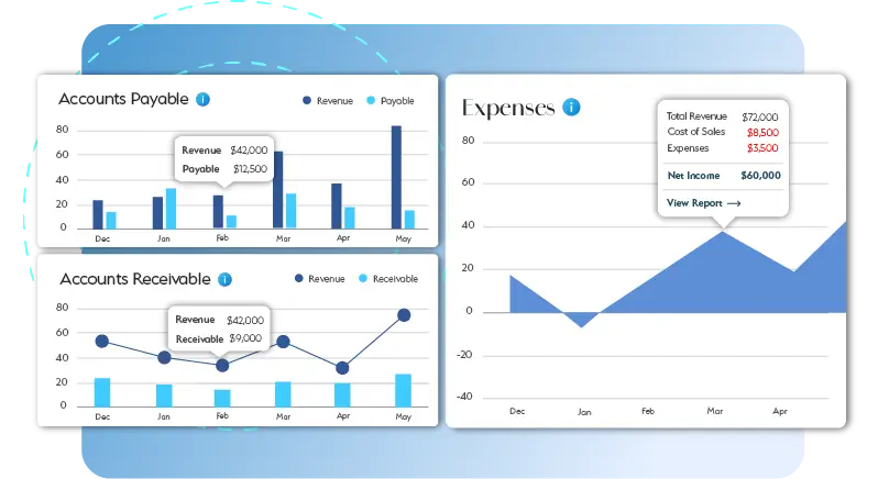 Maintaining Accuracy for online accounting services