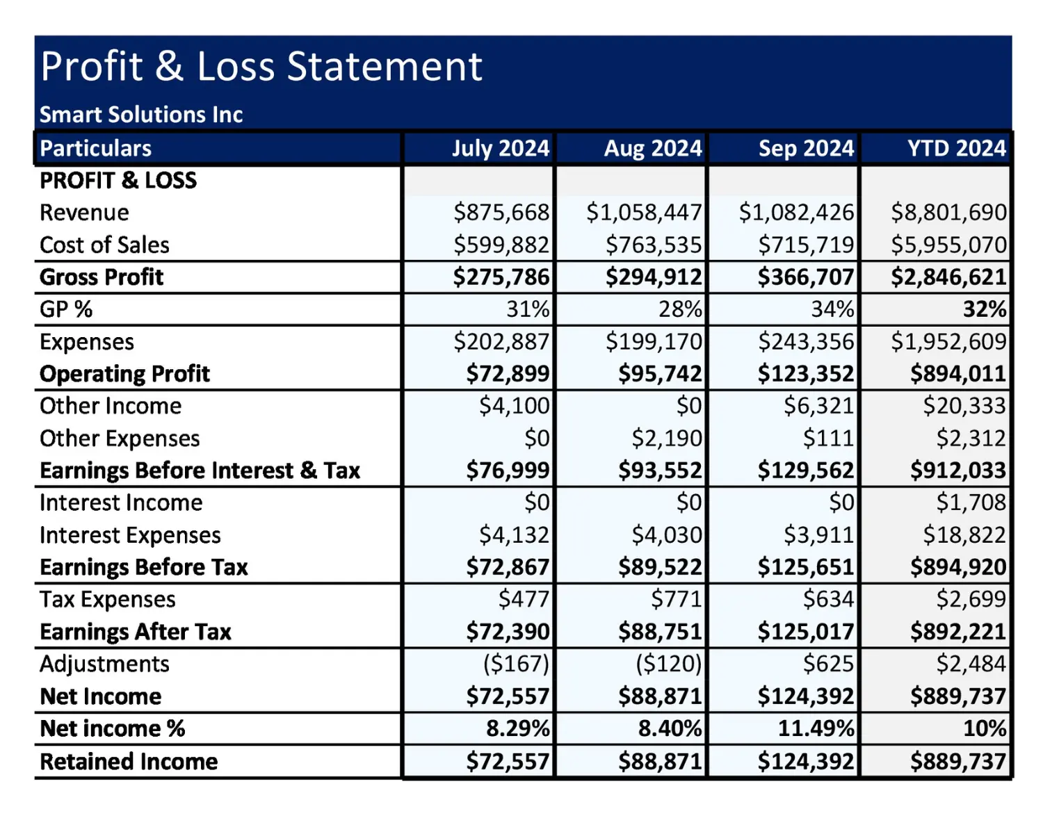 Profit & Loss Statement