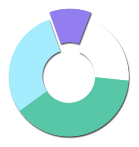 Analyzing the Financial Statements Through Ratio Analysis